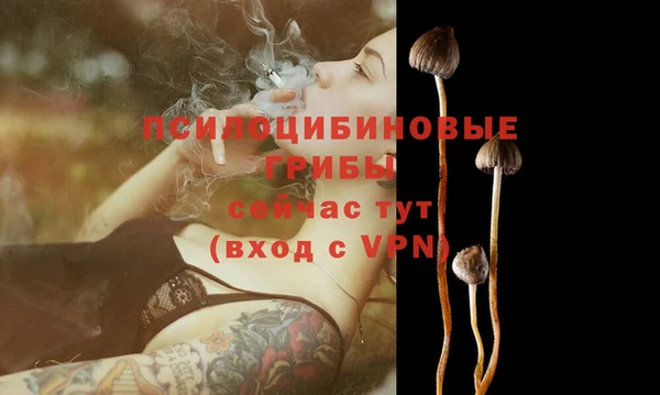 соль ск Лабытнанги