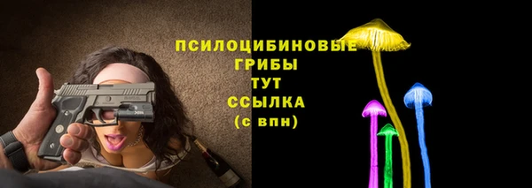 соль ск Лабытнанги