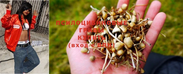 кристаллы Ладушкин
